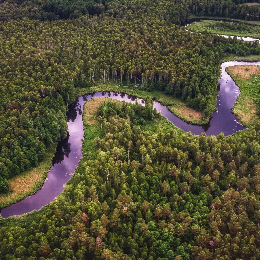 Biodiversity Credits and Markets: Enhancing Financial and Social Sustainability of Conservation Projects