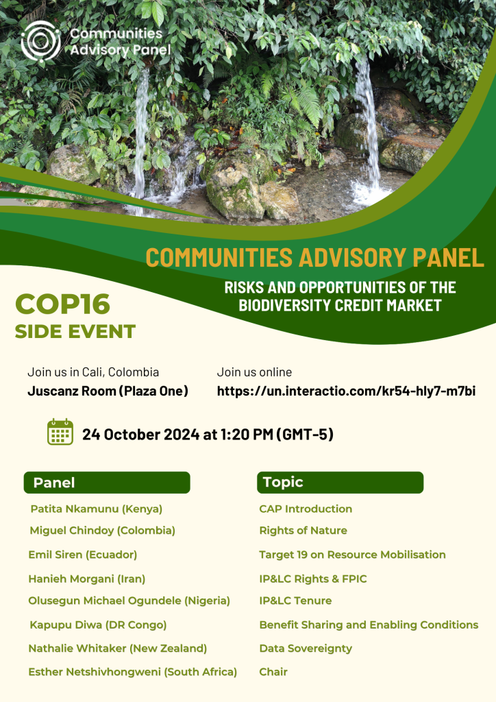 Communities Advisory Panel (CAP) – Risks and Opportunities of the Biodiversity Credit Market