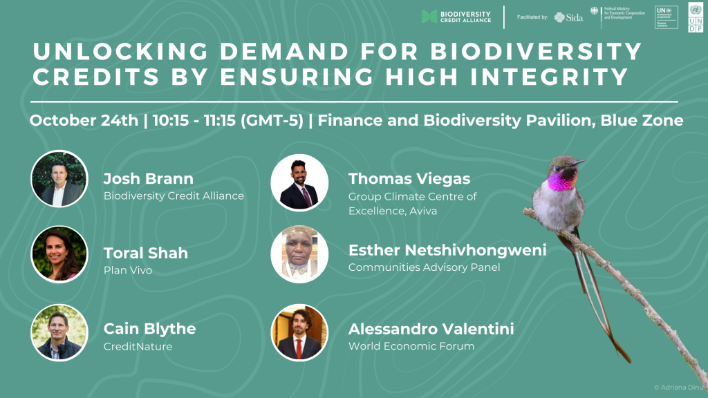 Unlocking demand for biodiversity credits by ensuring high integrity