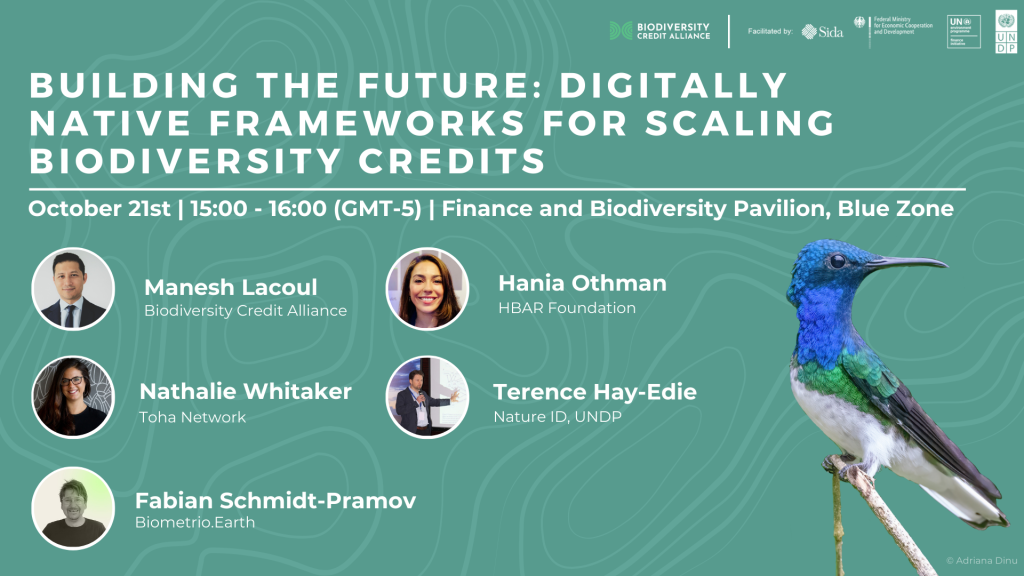 Building the Future: Digitally Native Frameworks for Scaling Biodiversity Credits