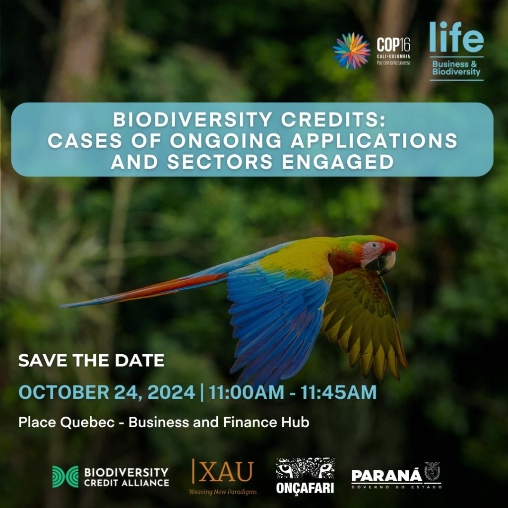 Biodiversity Credits: cases of ongoing applications and sectors engaged